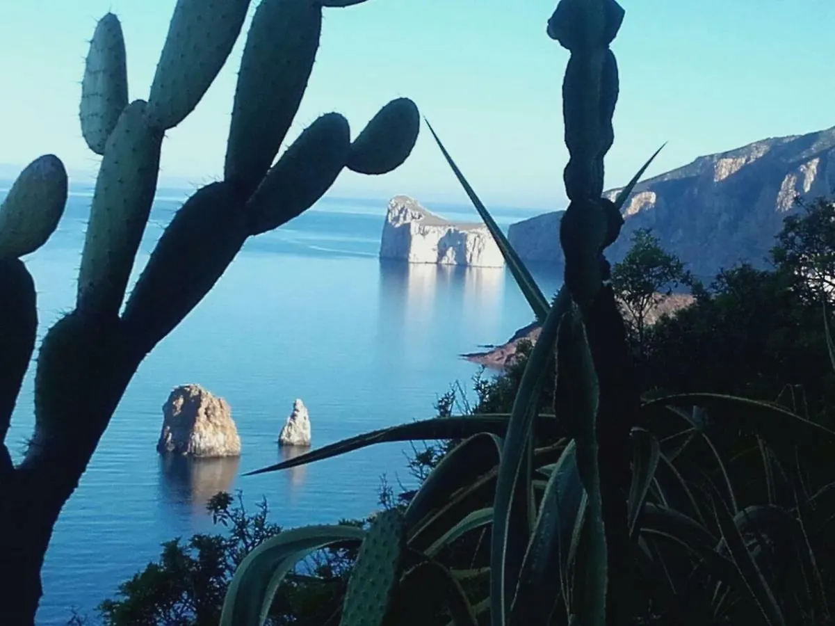 Il Dolce Risveglio Tanca Piras Villa Nebida